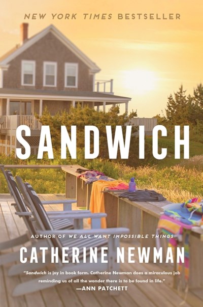 Sandwich a novel