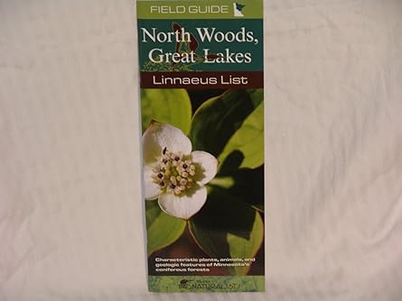 North Woods