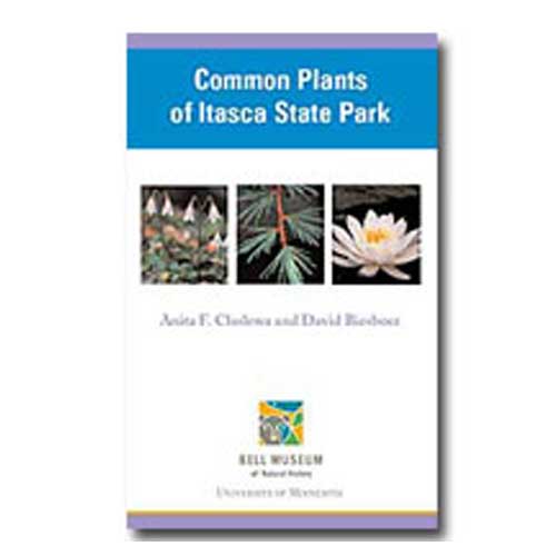 Itasca