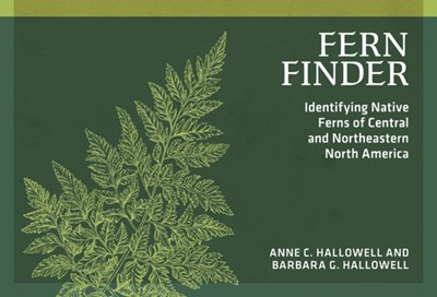 Fern Finder : Identifying Native Ferns Of Central And Northeastern North America ( 3rd Edition, Revised )