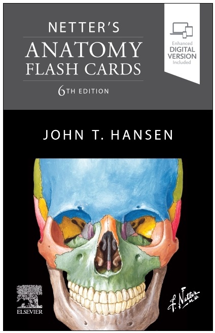 Netter'S Anatomy Flash Cards, 6th