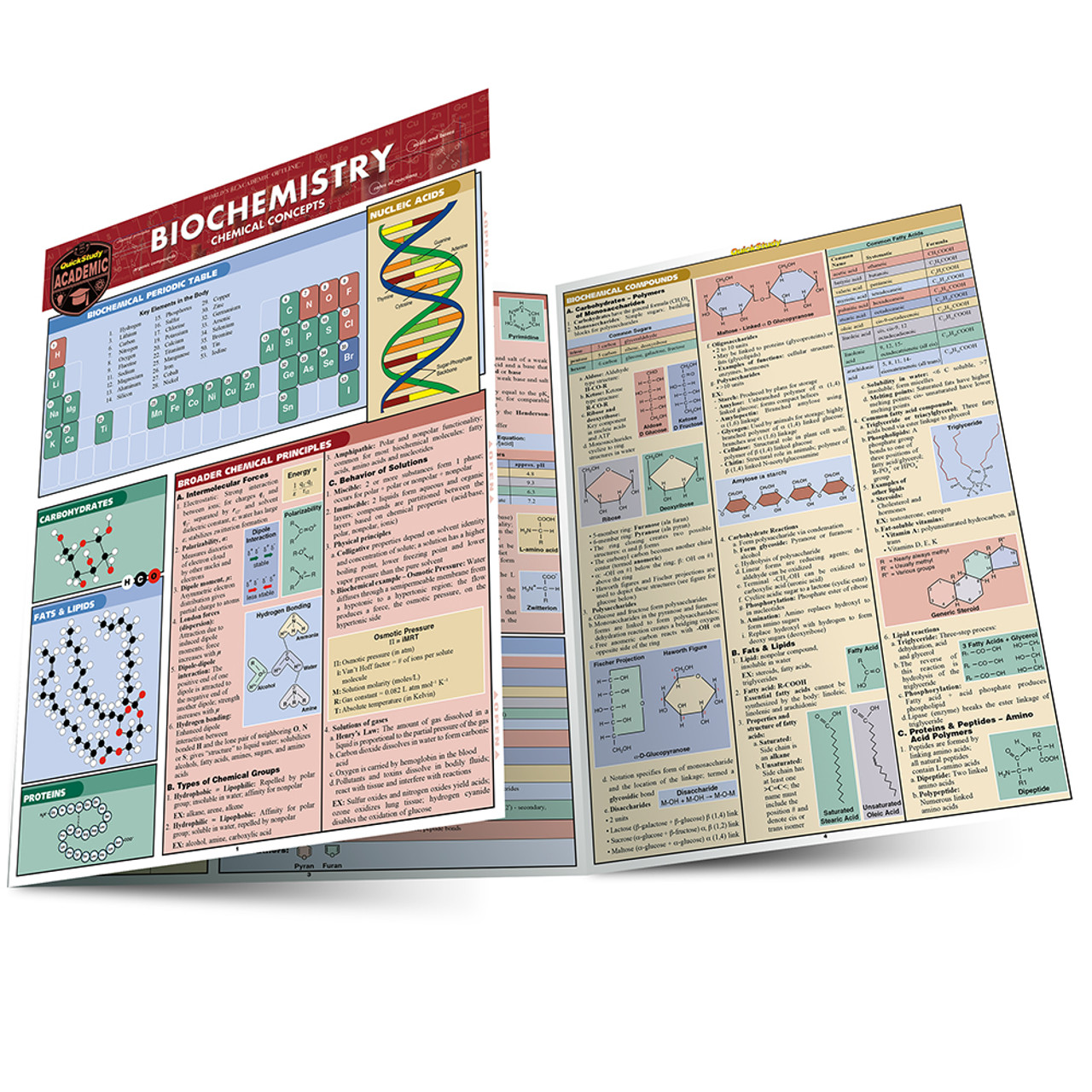 Biochemistry : Chemical Concepts