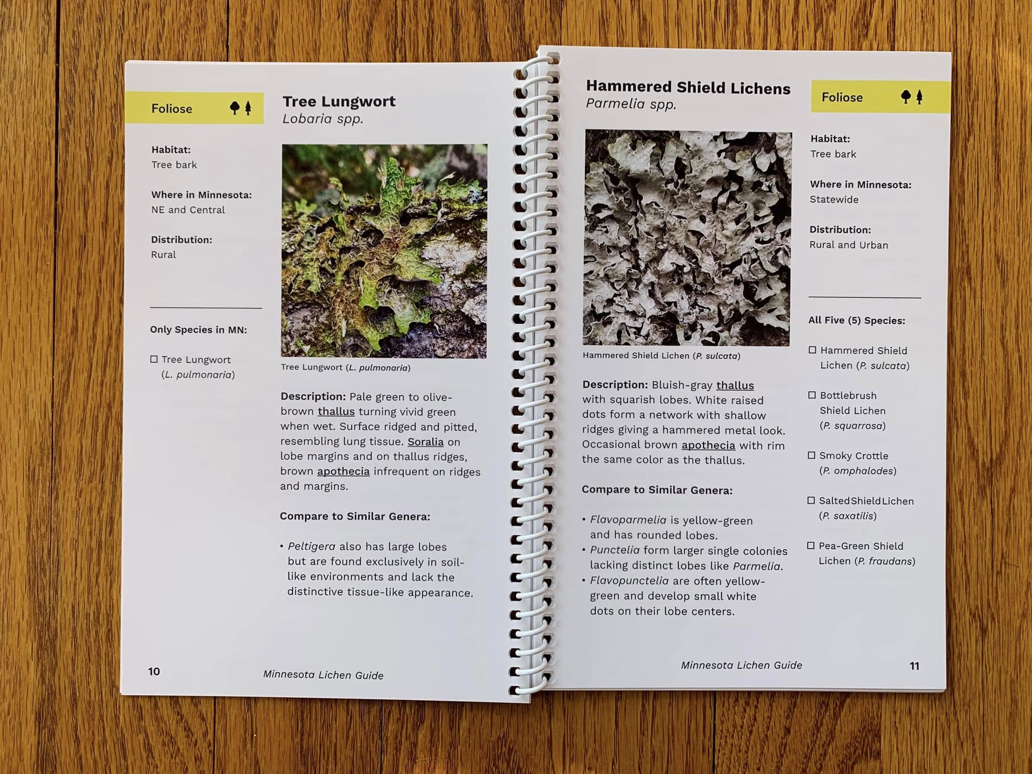The Minnesota Lichen Guide | U of M Bookstores