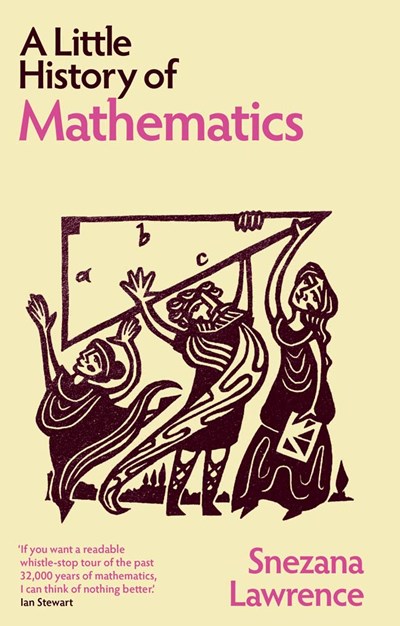 A Little History Of Mathematics - Hardcover