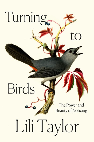 Turning To Birds : The Power And Beauty Of Noticing - Hardcover