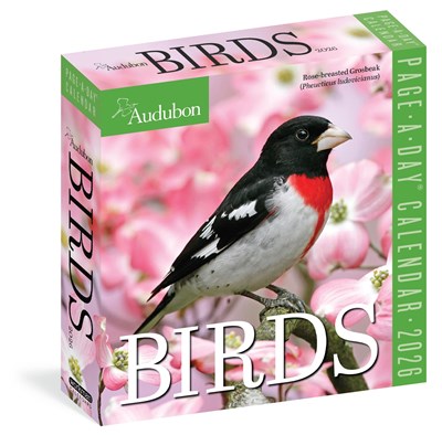Audubon Birds Page-a-day Calendar 2026 - Calendar