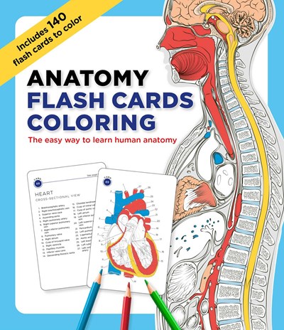 Anatomy Flash Cards Coloring - Non-book Item
