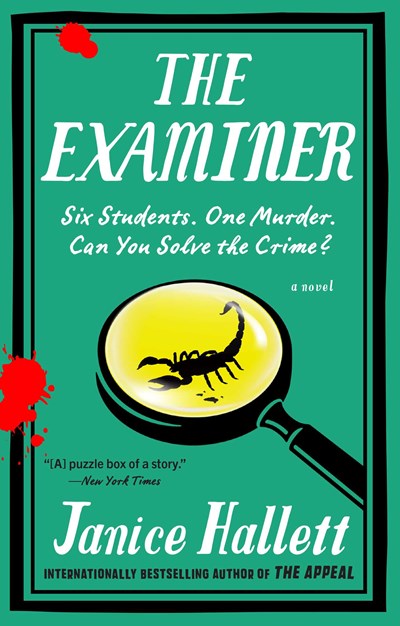 The Examiner : A Novel - Paperback