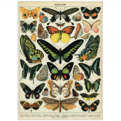 Cavallini Butterflies Decorative Poster