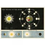 Cavallini Moon Phases Decorative Poster