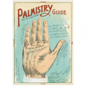 Cavallini Palmistry Decorative Poster