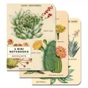 Cavallini Succulents 3Pk Mini Notebooks