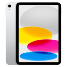 iPad (10th Generation) 10.9" Wi-Fi 256GB -  Silver - Gray