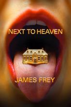 Next To Heaven - Hardcover