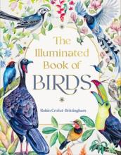 The Illuminated Book Of Birds