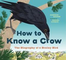 How To Know A Crow : The Biography Of A Brainy Bird - Paperback