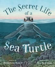 The Secret Life Of A Sea Turtle - Hardcover