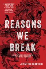 Reasons We Break - Hardcover