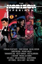 Horizon Experiment - Paperback