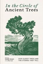 In The Circle Of Ancient Trees : Our Oldest Trees And The Stories They Tell - Hardcover