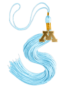 Bachelor Tassel and M Charm-Choose Your College - College of Education and Human Development