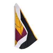 Master of Geographic Information Science