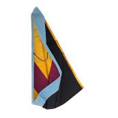 Master of Education Hood