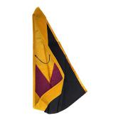 Master of Science Hood