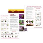Pollinator Hand Out Sets - Clear
