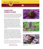 Plants for Minnesota Bees Handout Set - Clear