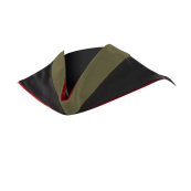 Master of Health Informatics Hood