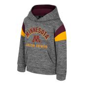 Colosseum University of Minnesota Toddler Hoodie  - 3T, Gray